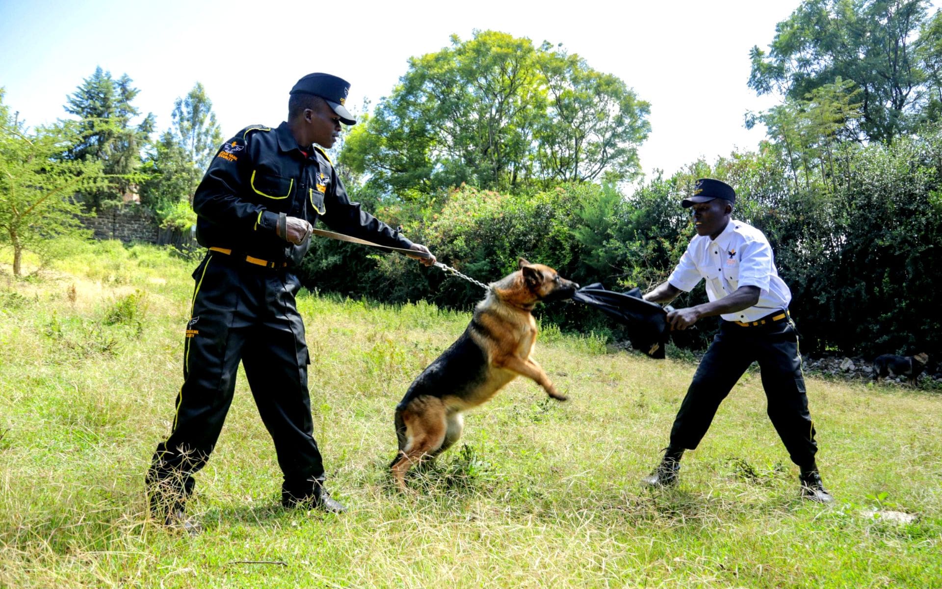 Dog Handling Services - Captain Hawk Security